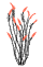 Ocotillo Services Plant Icon